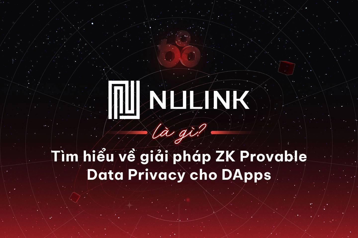 nulink-la-gi-tim-hieu-ve-giai-phap-zk-provable-data-privacy-cho-dapps